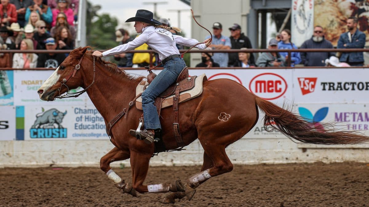 Morgan Bagnell runs home at Clovis