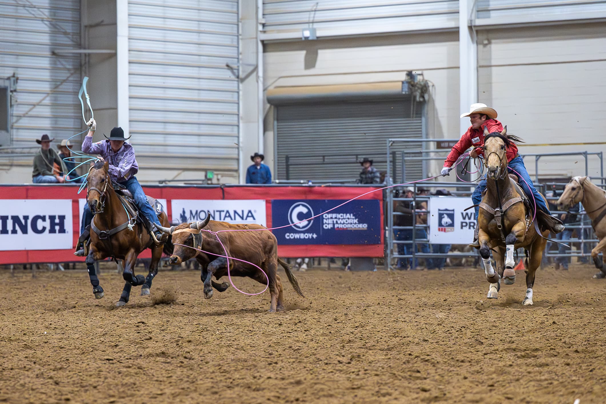 Header Clayton Van Aken and heeler Trey Yates rope a steer in an indoor arena in Loveland, Colorado.