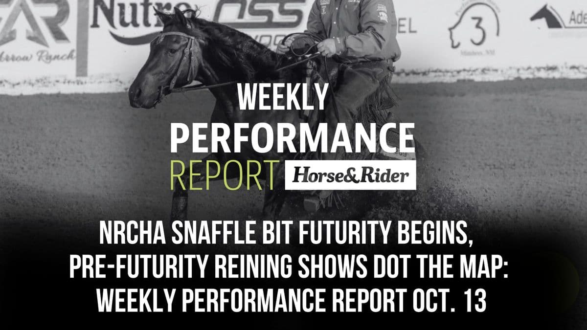 Rider on black horse competing in reining event with sponsor signage in background, promoting Horse&Rider Weekly Performance Report on NRCHA Snaffle Bit Futurity and pre-futurity shows for October 13