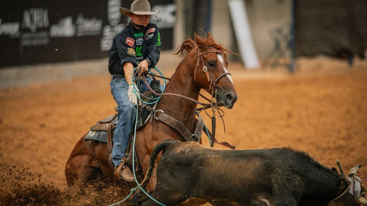 Hunter Koch heels on Rockk Star at the Old West World Championships in Amarillo, Texas.