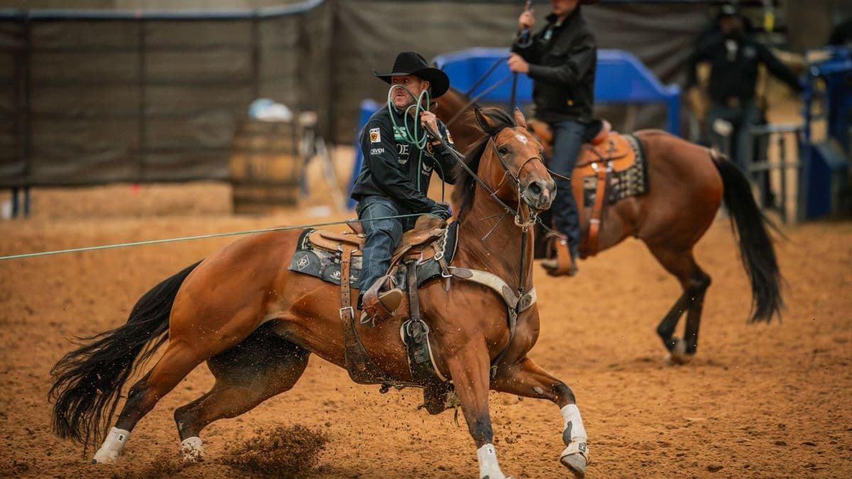 Trevor Brazile heads on Kiri at the Old West World Championships in Amarillo, Texas.