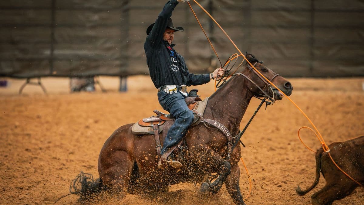 Joseph Harrison heels on Royal Nites at the Old West World Championships in Amarillo, Texas.