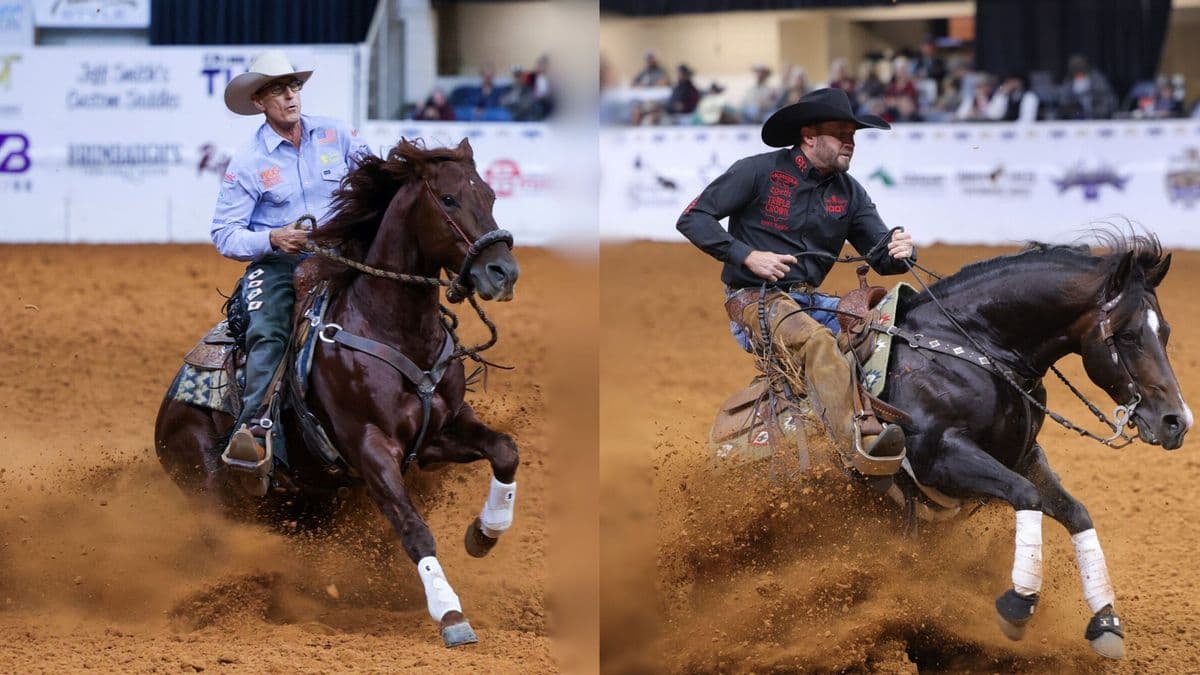 Two cowboys on dark horses compete in a ranch sorting event, kicking up dust as they work cattle in an indoor arena with spectators in the background