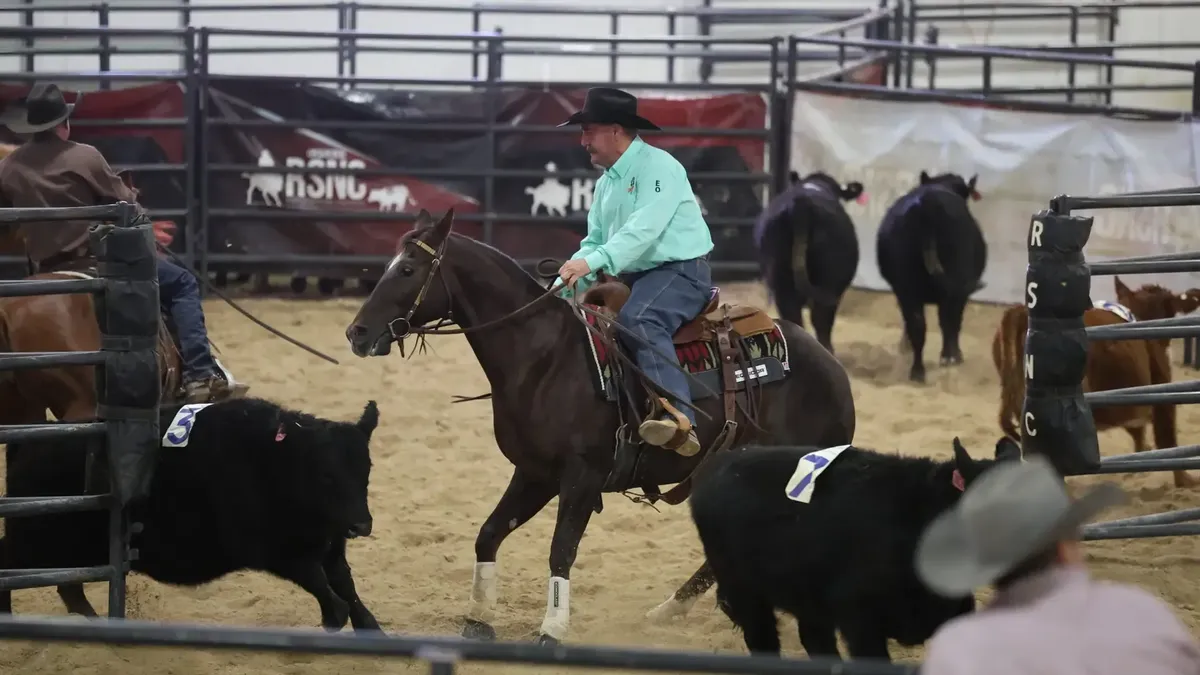 Cowboy on dark horse in turquoise shirt and black hat works cattle during a rodeo event in an indoor arena