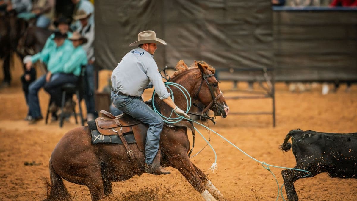 Hunter Koch heels on Rebel X, a sorrel stallion, as the horse drives into the ground behind a black steer.