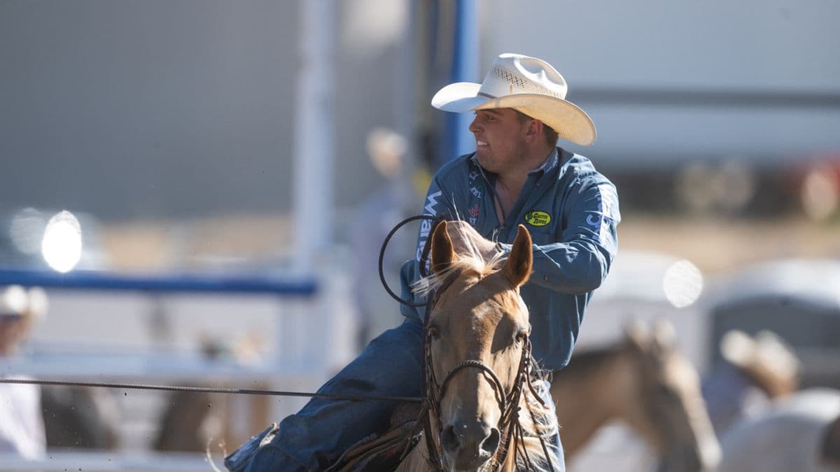 Cowboy in blue shirt and white hat rides brown horse while holding a lasso at a rodeo arena