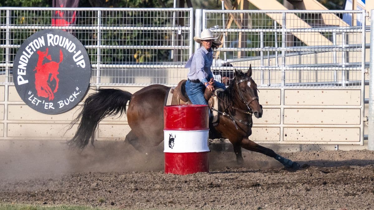 katelyn scott turns a barrel that's red and white at the Pendleton Round-up