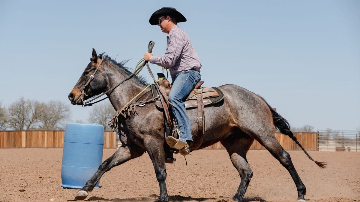 Justin Briggs warms up a young horse.