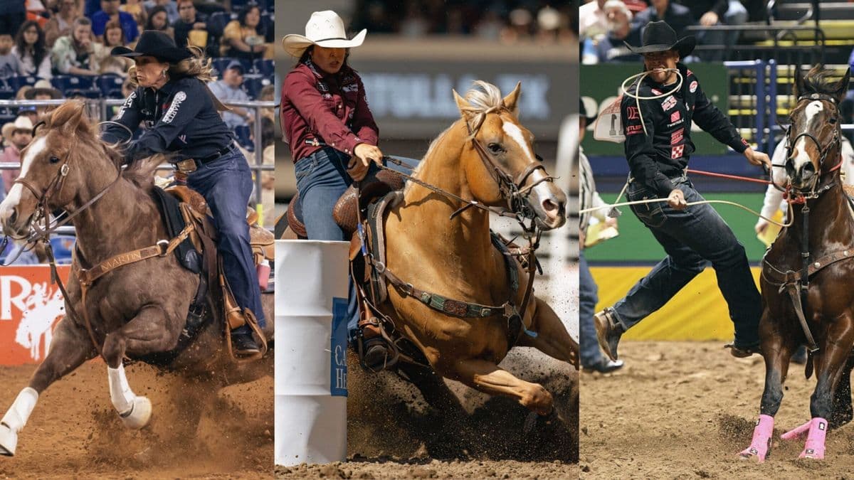 Rodeo competitors on horseback navigate barrel racing and turn events at indoor and outdoor arenas during professional rodeo competitions