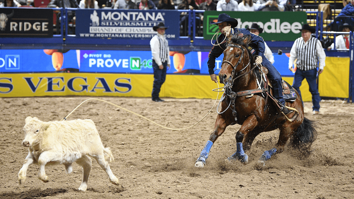 Shane Hanchey competed in Rounds 1 and 2 on Stylish Bugsy before stepping off the gelding.