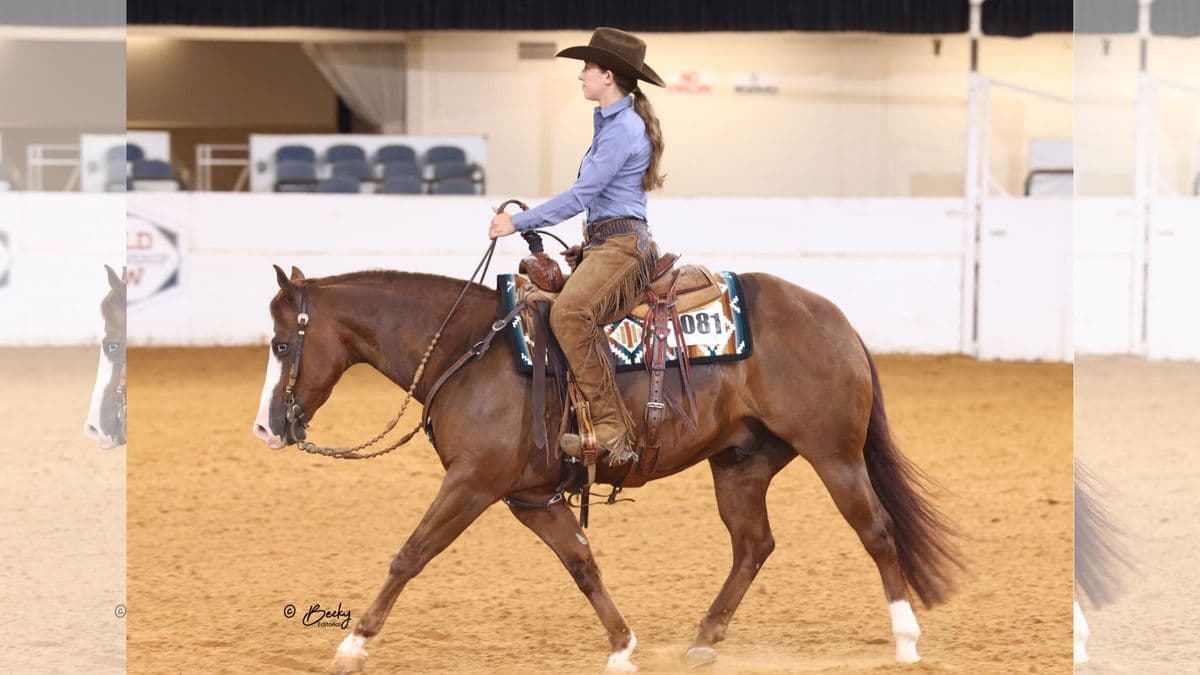 Rider in blue shirt and brown chaps on chestnut horse in indoor arena during Western riding event