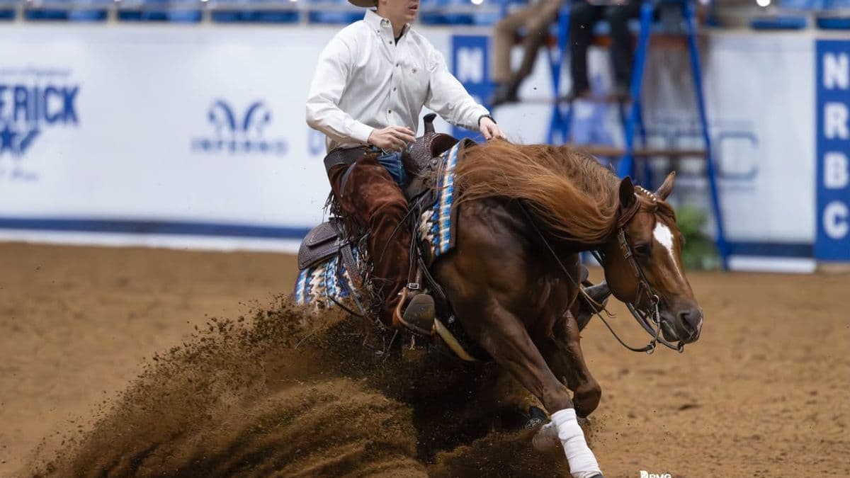 Barrel racer on brown horse kicks up dirt while making a turn at a rodeo arena with blue seating in background