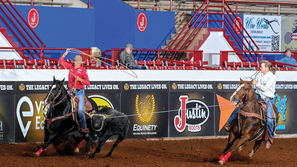 Two women team ropers in an indoor arena, the header on a sorrel holding the steer while the heeler on a black horse swings her loop