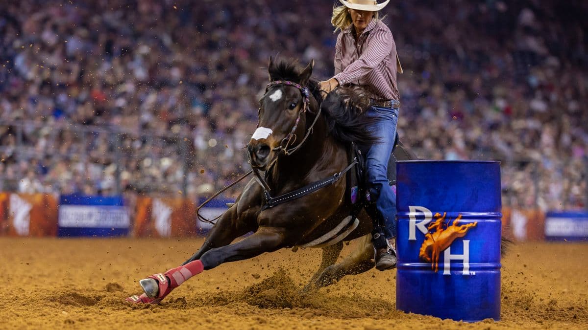 Michelle Alley barrel racing at RodeoHouston