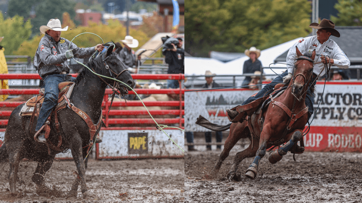Two rodeo competitors in action: left shows a roper on a black horse with lasso mid-throw; right shows a rider on a brown horse in barrel racing position near red arena fencing