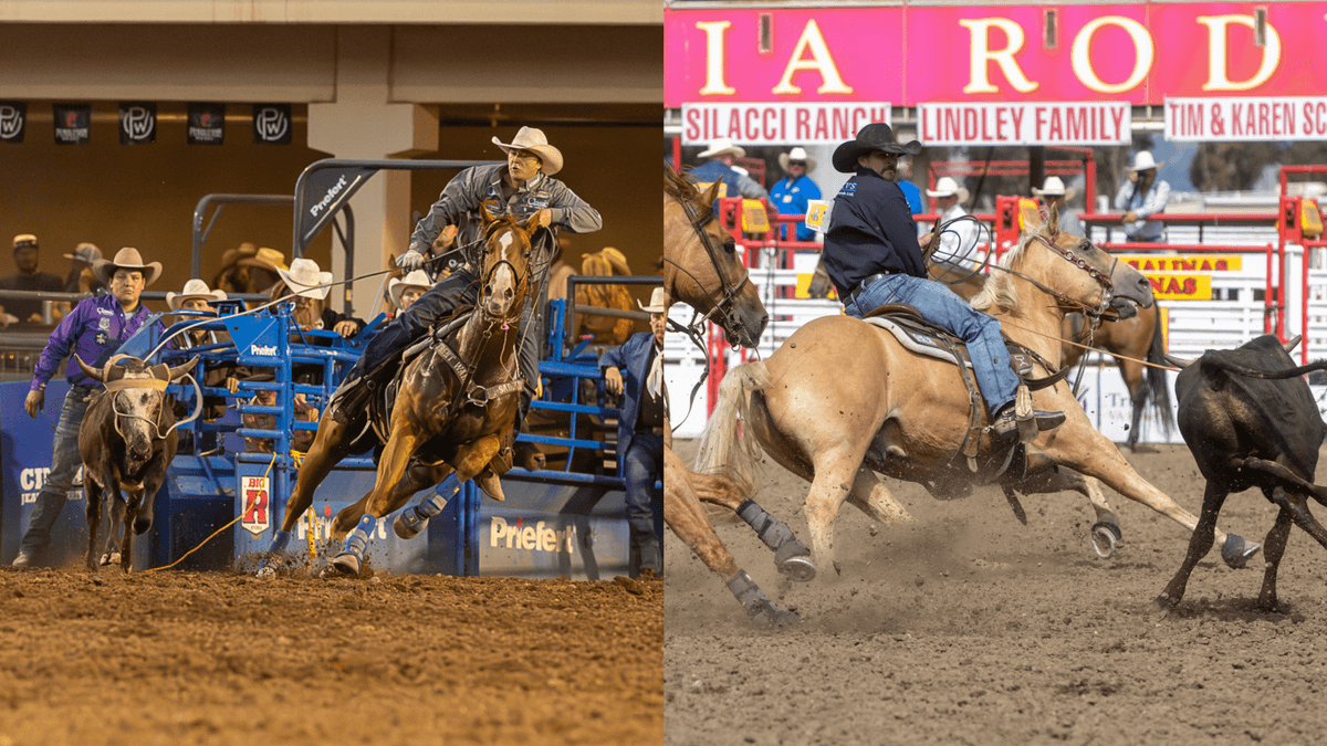 The Short Score: From the NFR Open to Salinas