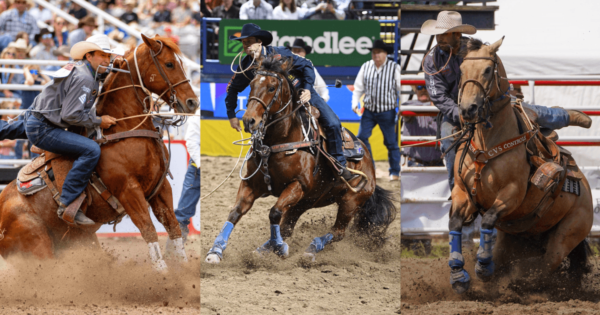 Three rodeo competitors perform barrel racing and roping events on brown horses, kicking up dust in arena action at a professional rodeo