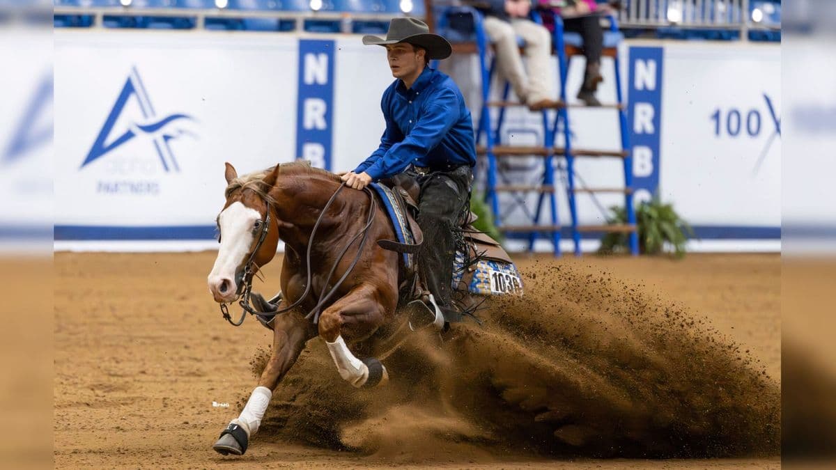 Reining horse in a sliding stop throwing up a spray of dirt as its rider in a blue shirt and black hat looks ahead