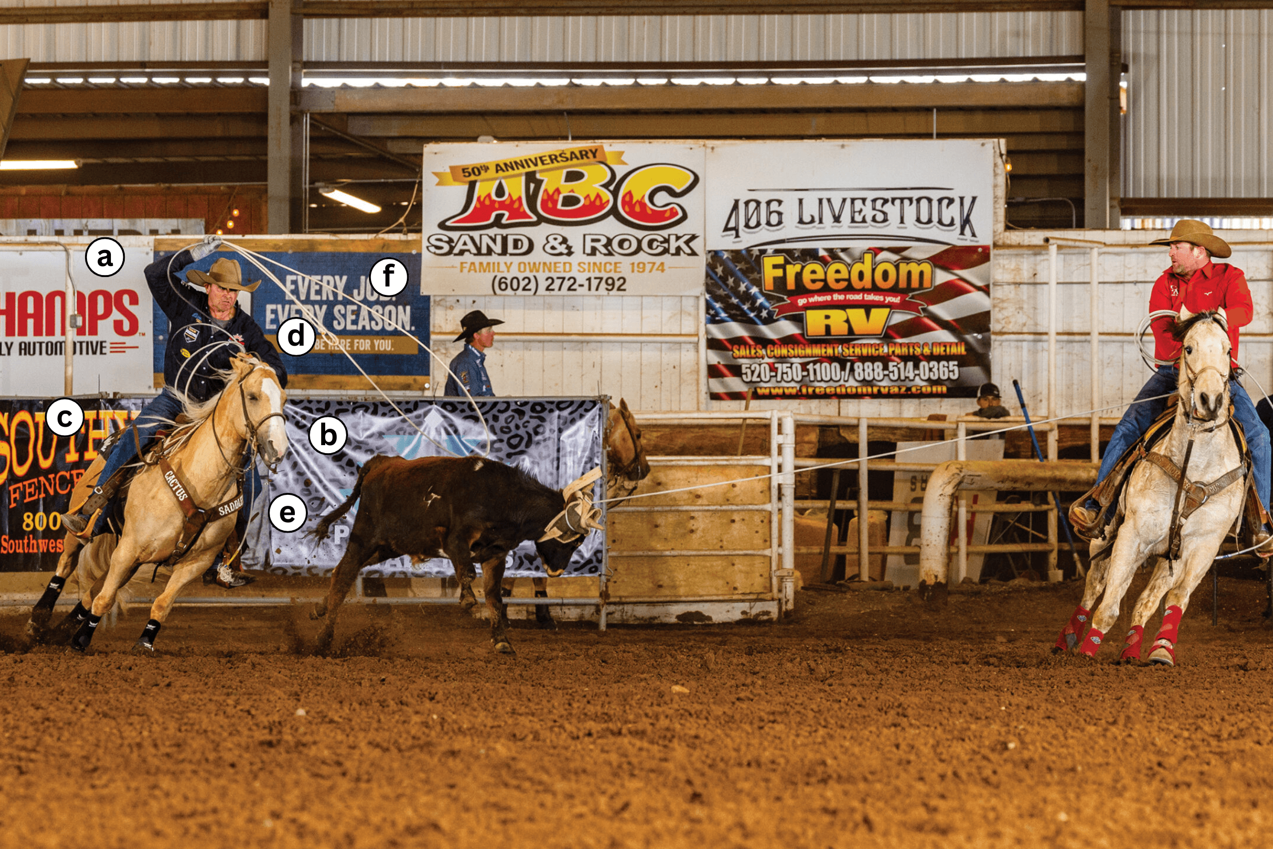 Steer roping competitor on horseback chasing a steer across indoor arena dirt with sponsor banners lining the background