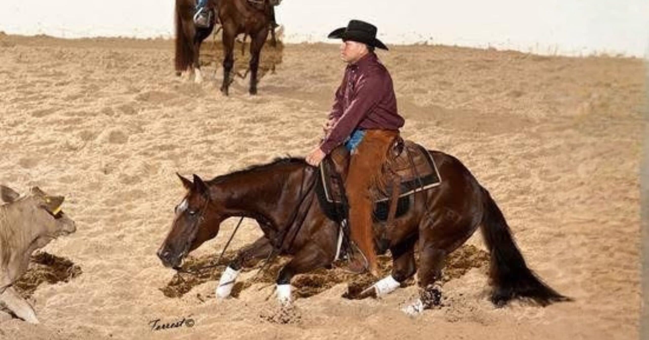 Cutting horse drops low in the dirt to hold a cow as its rider in chaps and black cowboy hat sits deep in the saddle