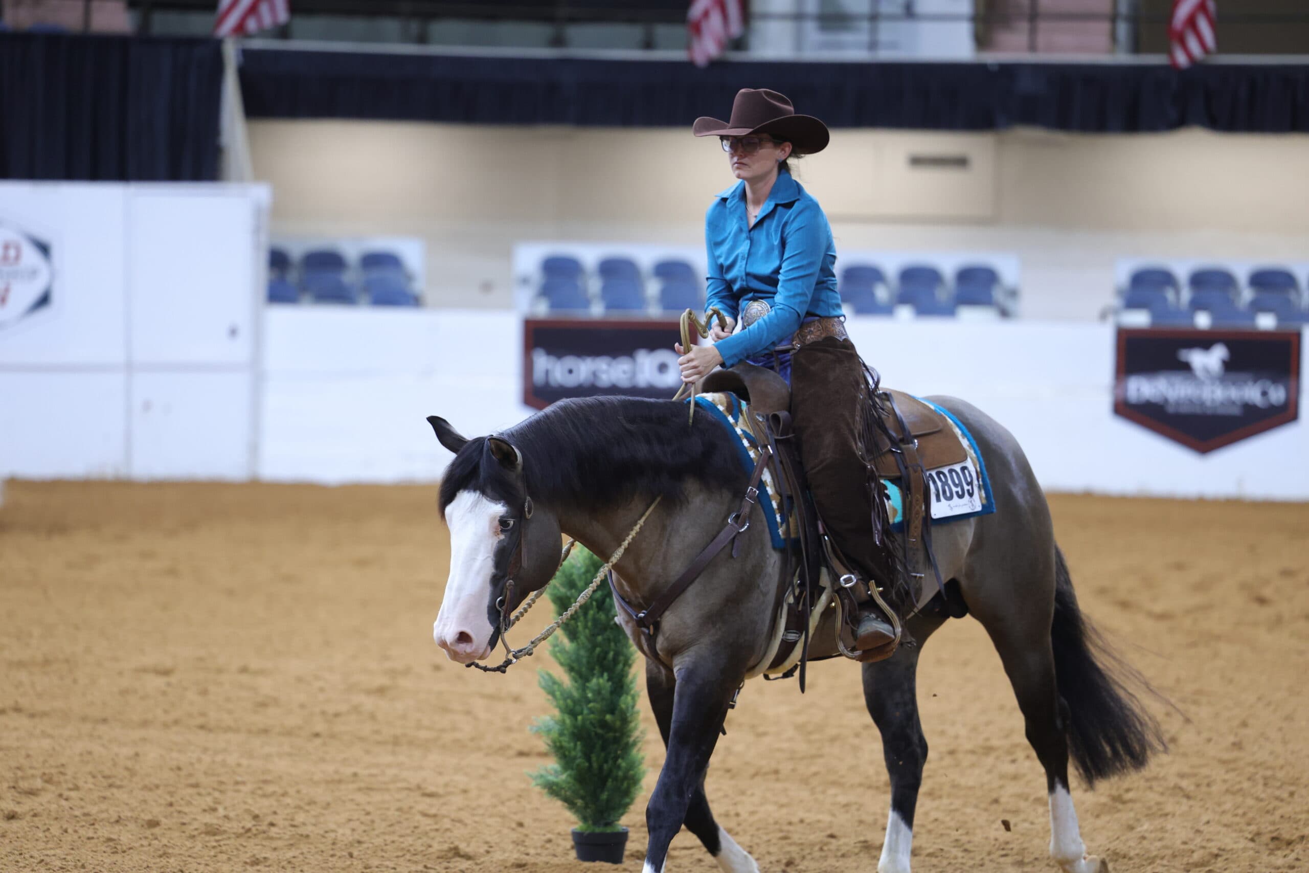 Rider in a blue shirt, brown cowboy hat and suede chaps works a buckskin horse wearing number 1899 in an indoor arena
