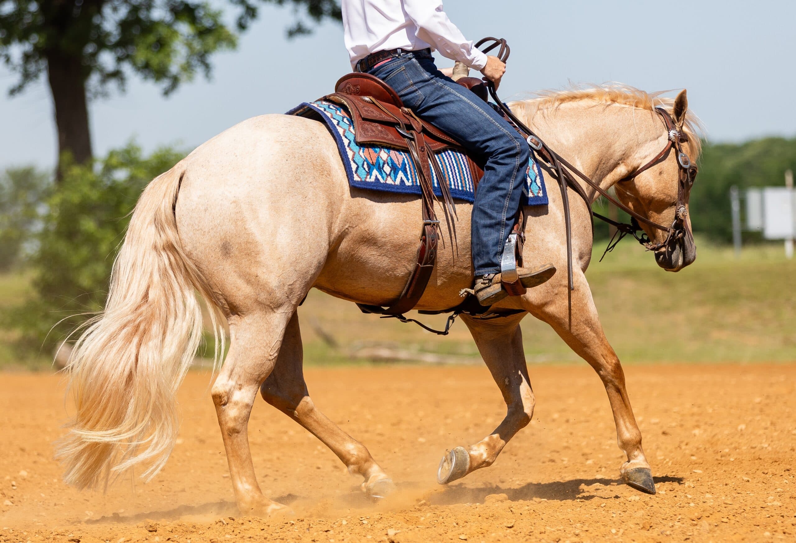 Palomino horse in a western saddle with a blue Navajo-pattern pad loping through dirt as its rider guides it with one hand