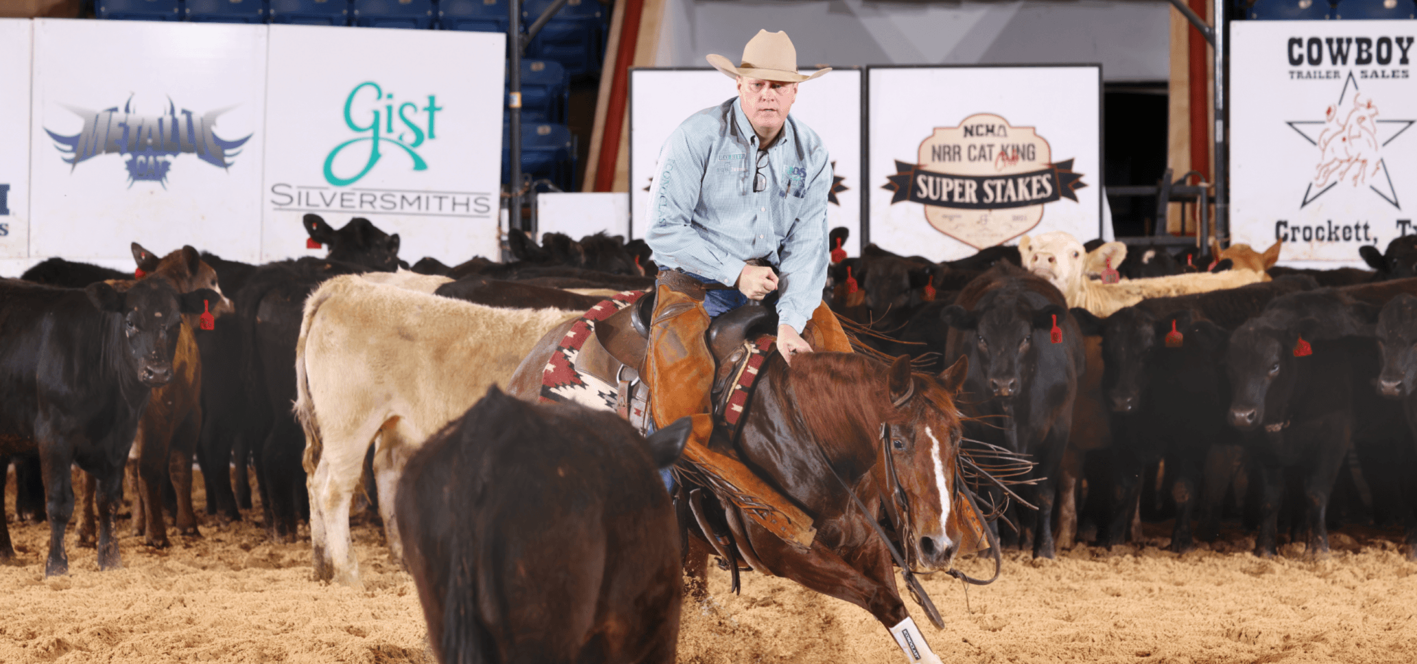 Cutting horse rider in tan cowboy hat and chaps works a black calf away from the herd at an indoor arena