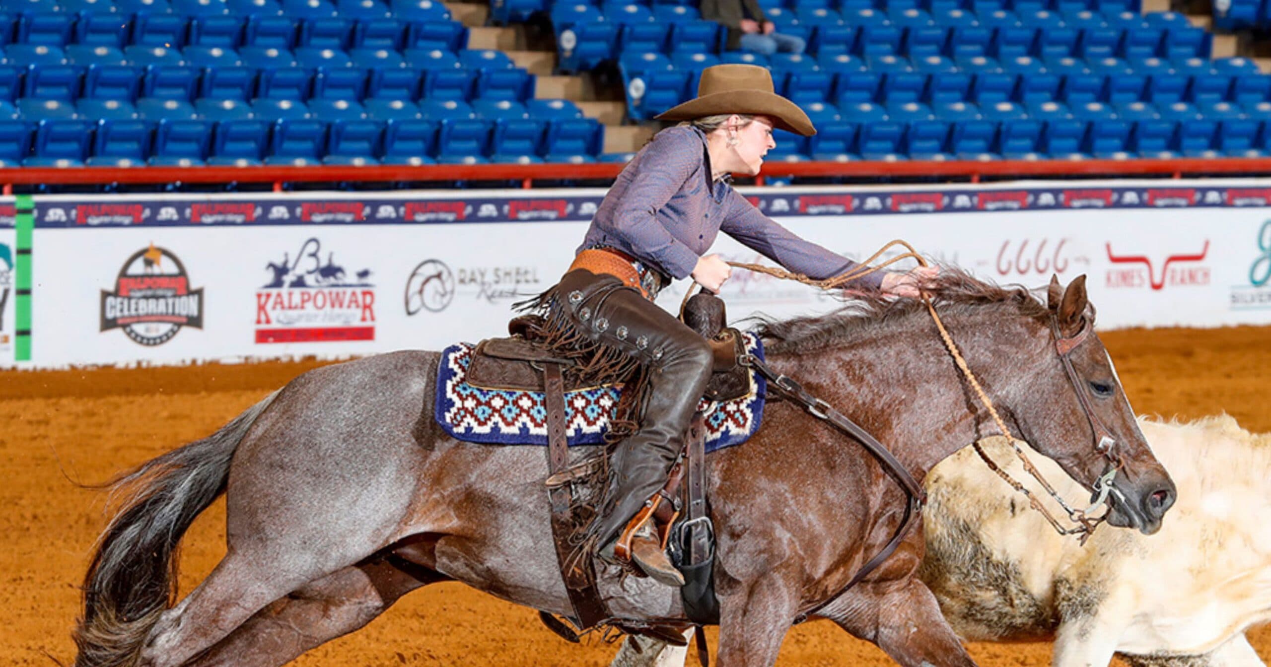 Woman in cowboy hat and leather chaps rides a roan horse tracking a cow in a ranch class inside an arena