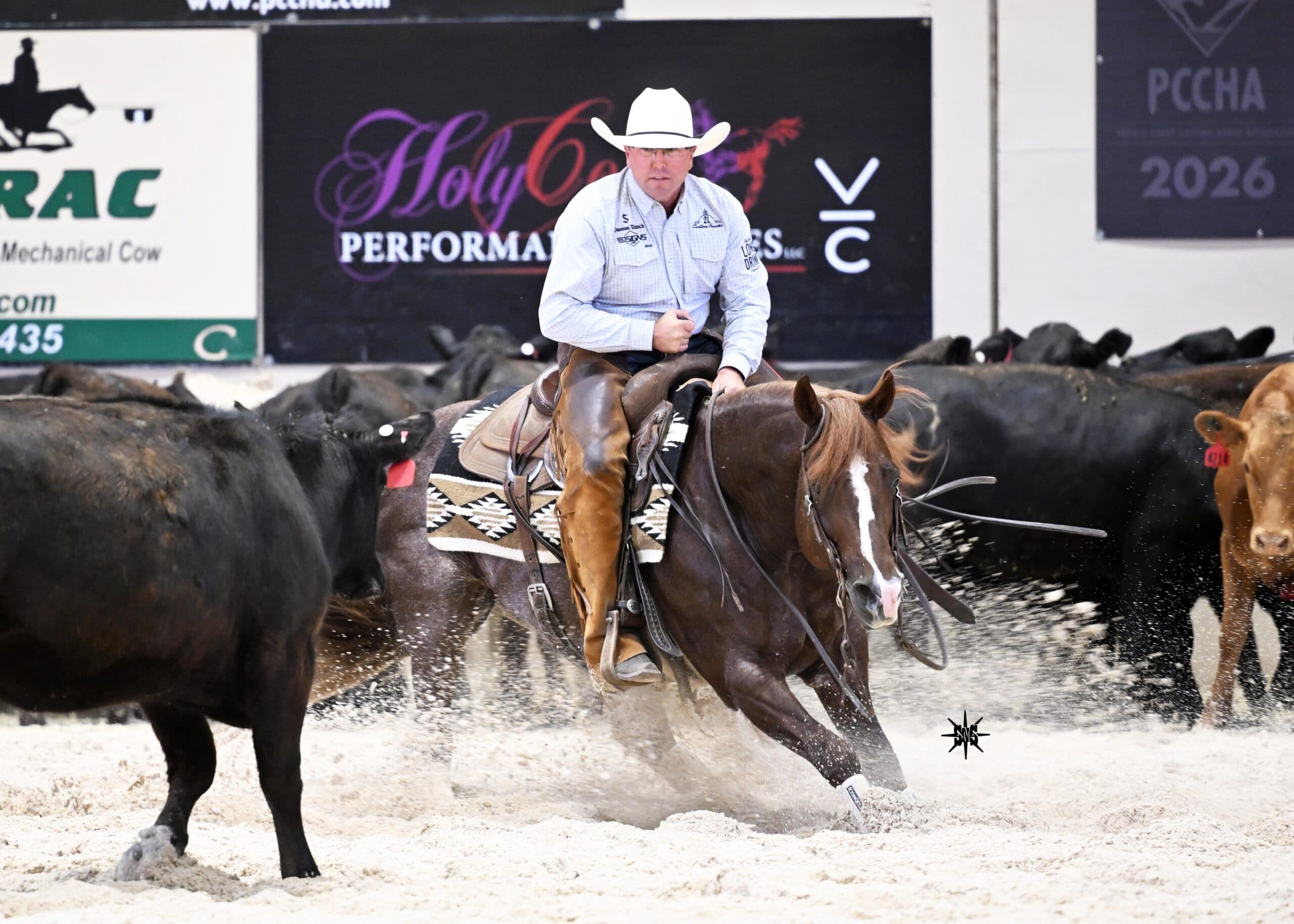 Cutter in white cowboy hat and chaps rides a sorrel horse working a black cow out of the herd in a sandy arena