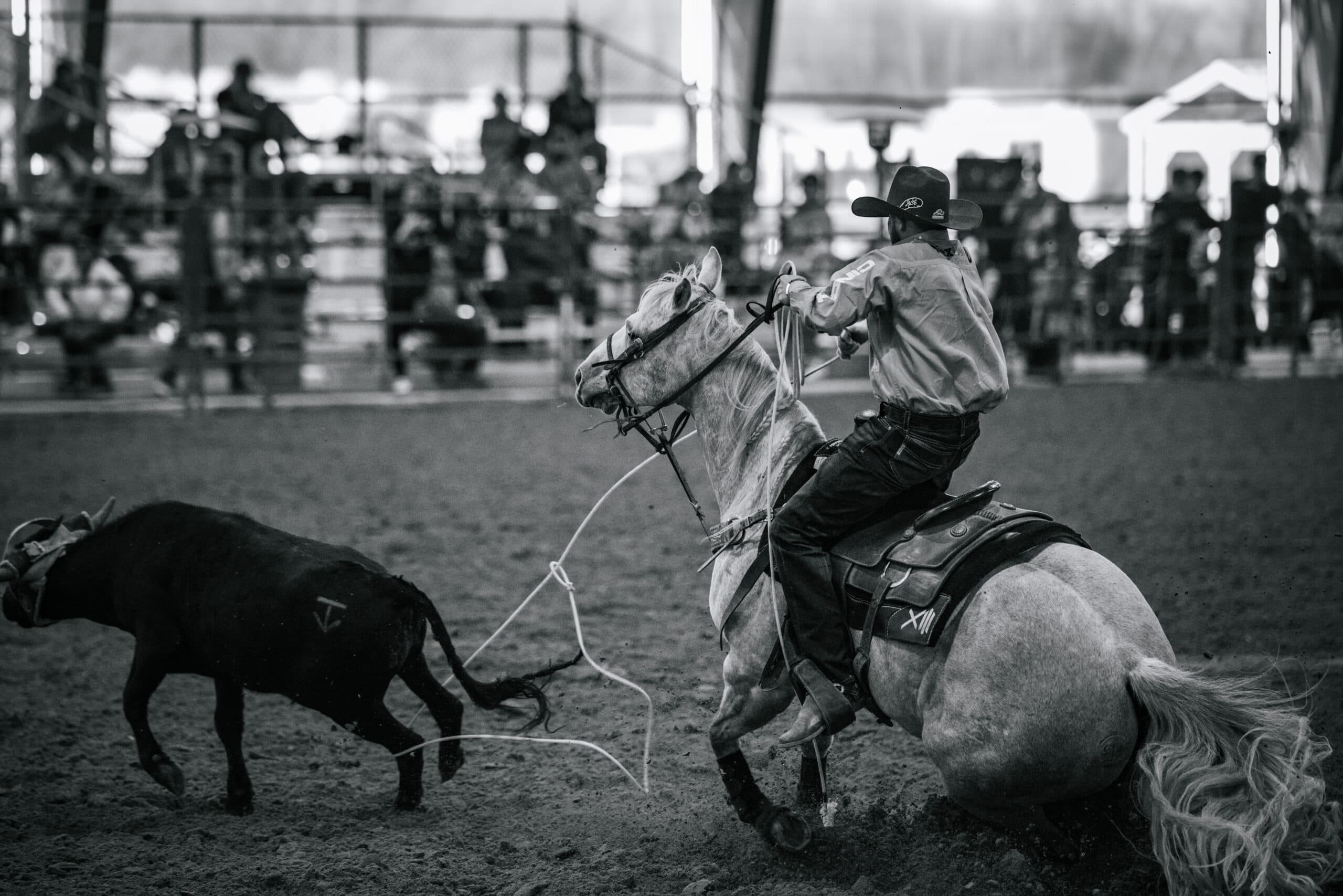 Hero: 377 Arena team roping arena in Stephenville, Texas
