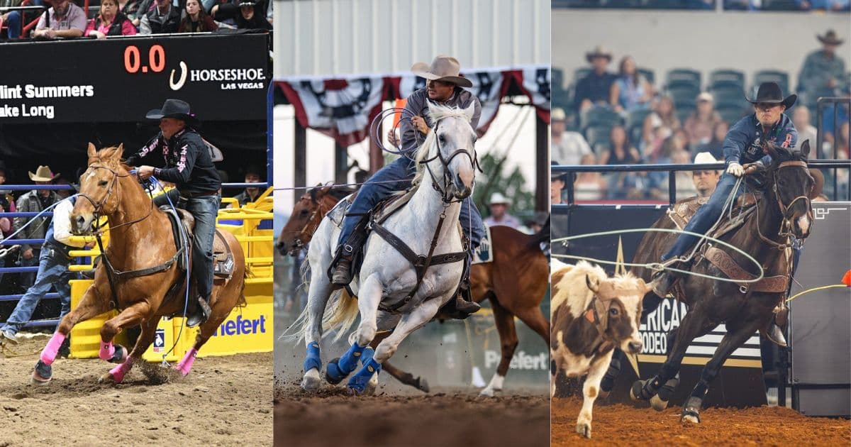 Three rodeo competitors perform barrel racing and roping events at professional rodeos, with horses and riders navigating barrels and gates in arena settings