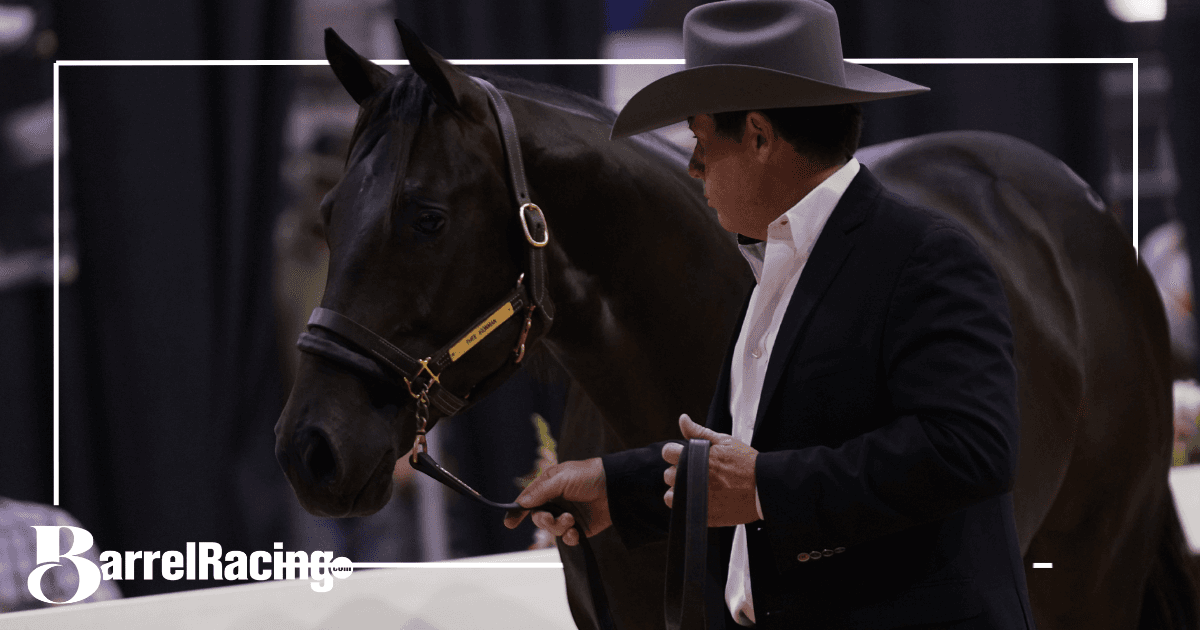 Man in a light gray cowboy hat and dark suit jacket leads a dark halter horse by a lead shank at an indoor show