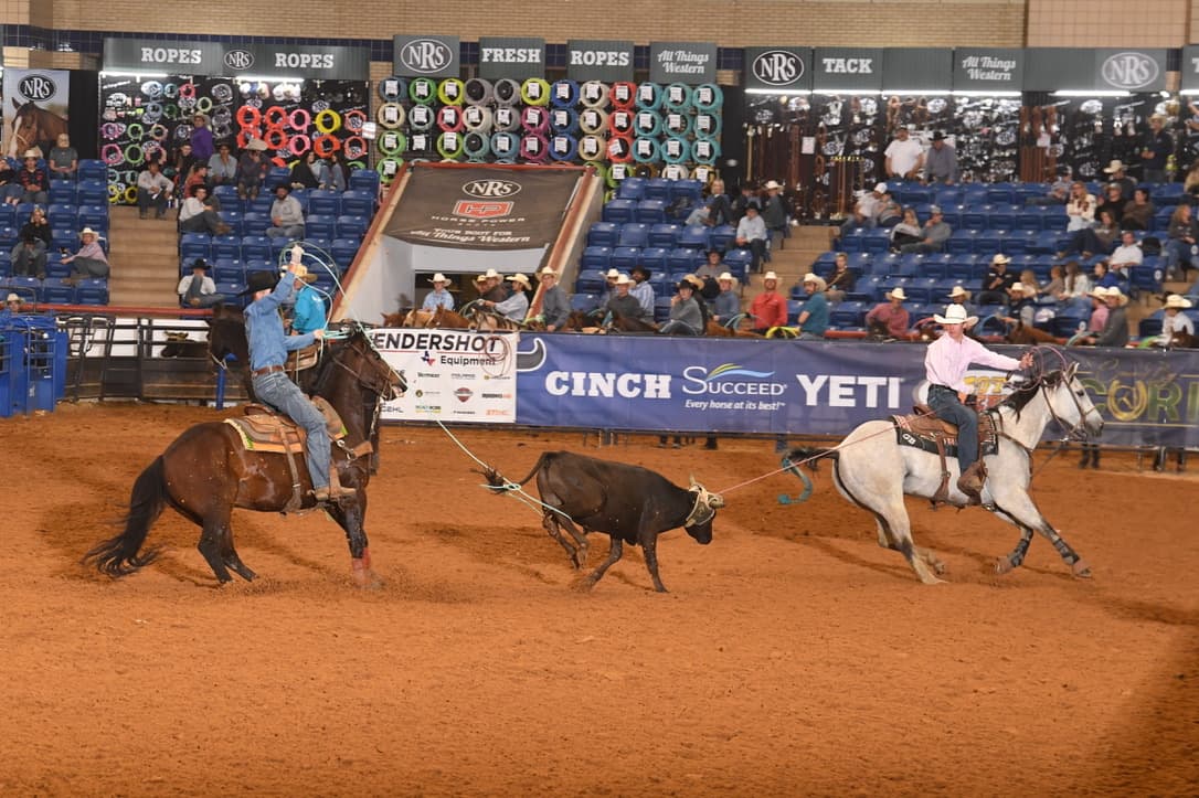 houston childers heeler