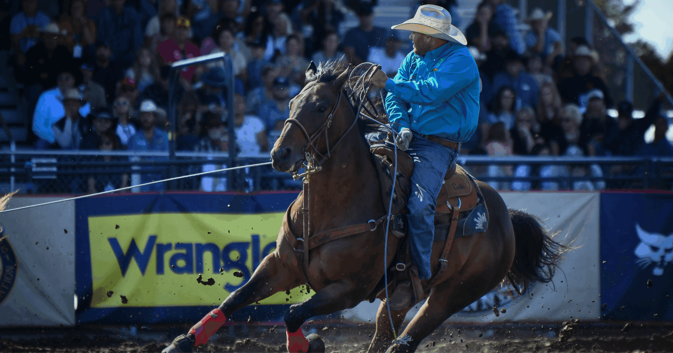 Cowboy on brown horse turning barrel at rodeo, wearing blue shirt and tan cowboy hat, with Wrangler signage visible along arena barrier