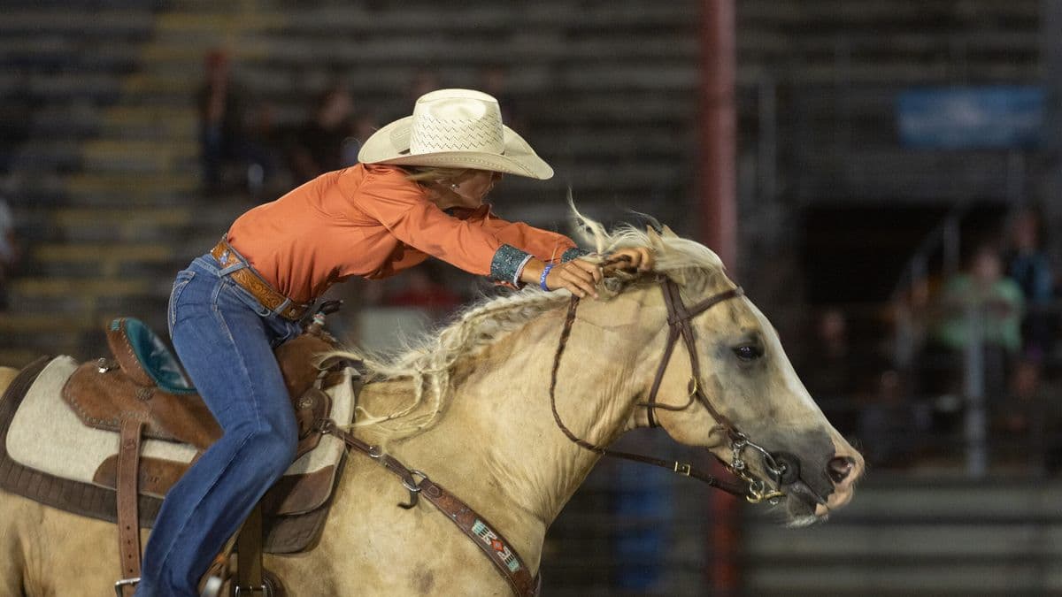 Katelyn Scott barrel racing on Peanut Seed