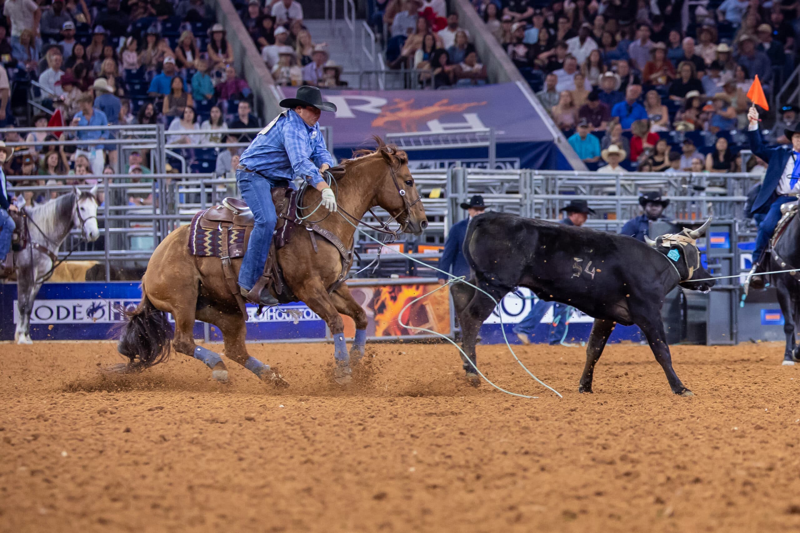 Cooper Freeman team roper