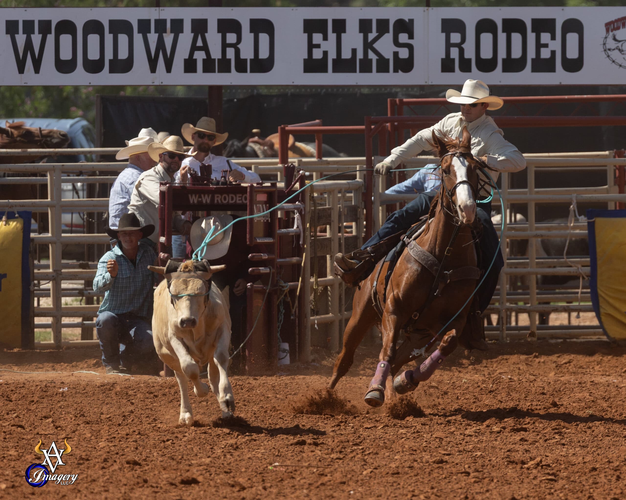 korbin rice team ropers