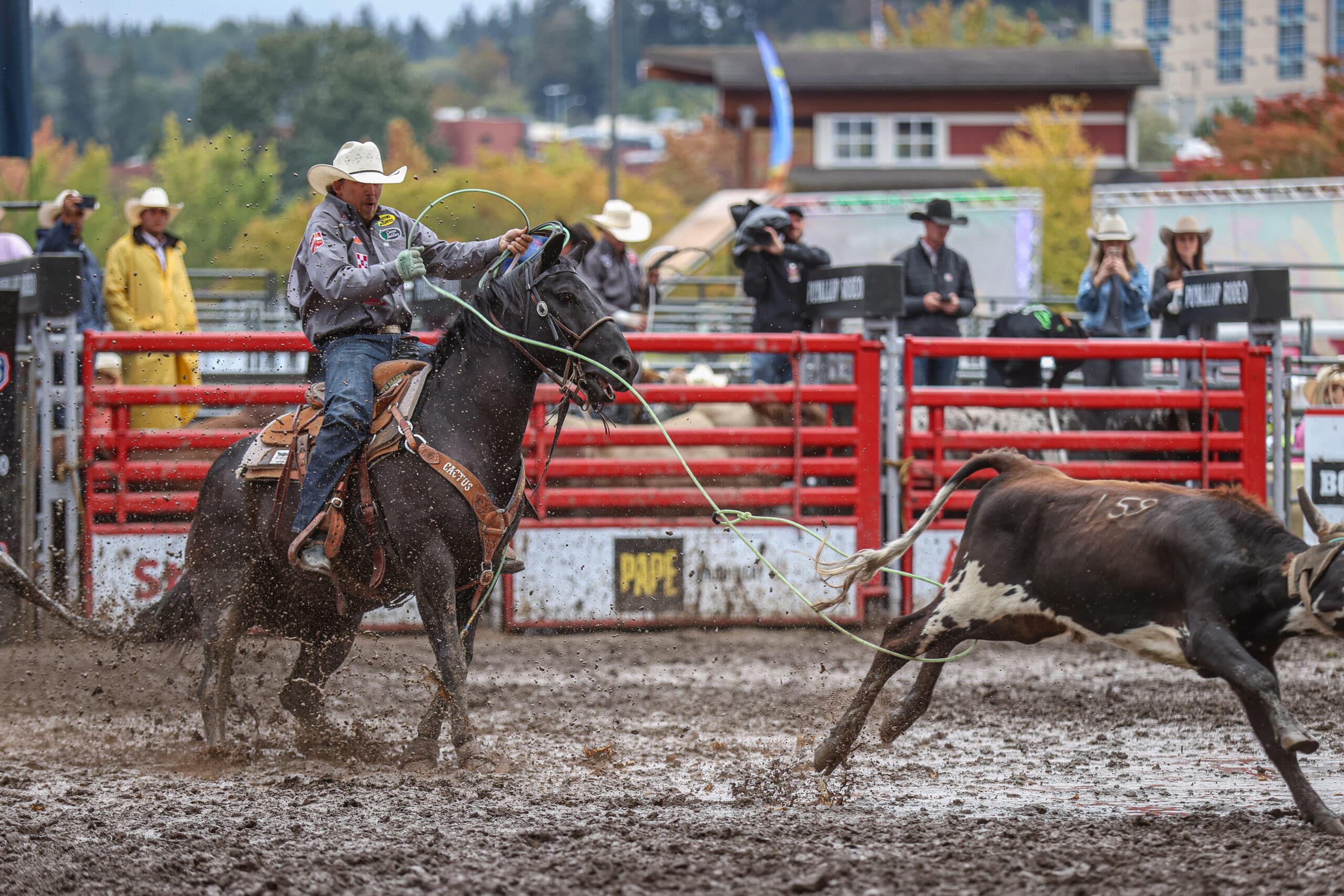levi lord puyallup