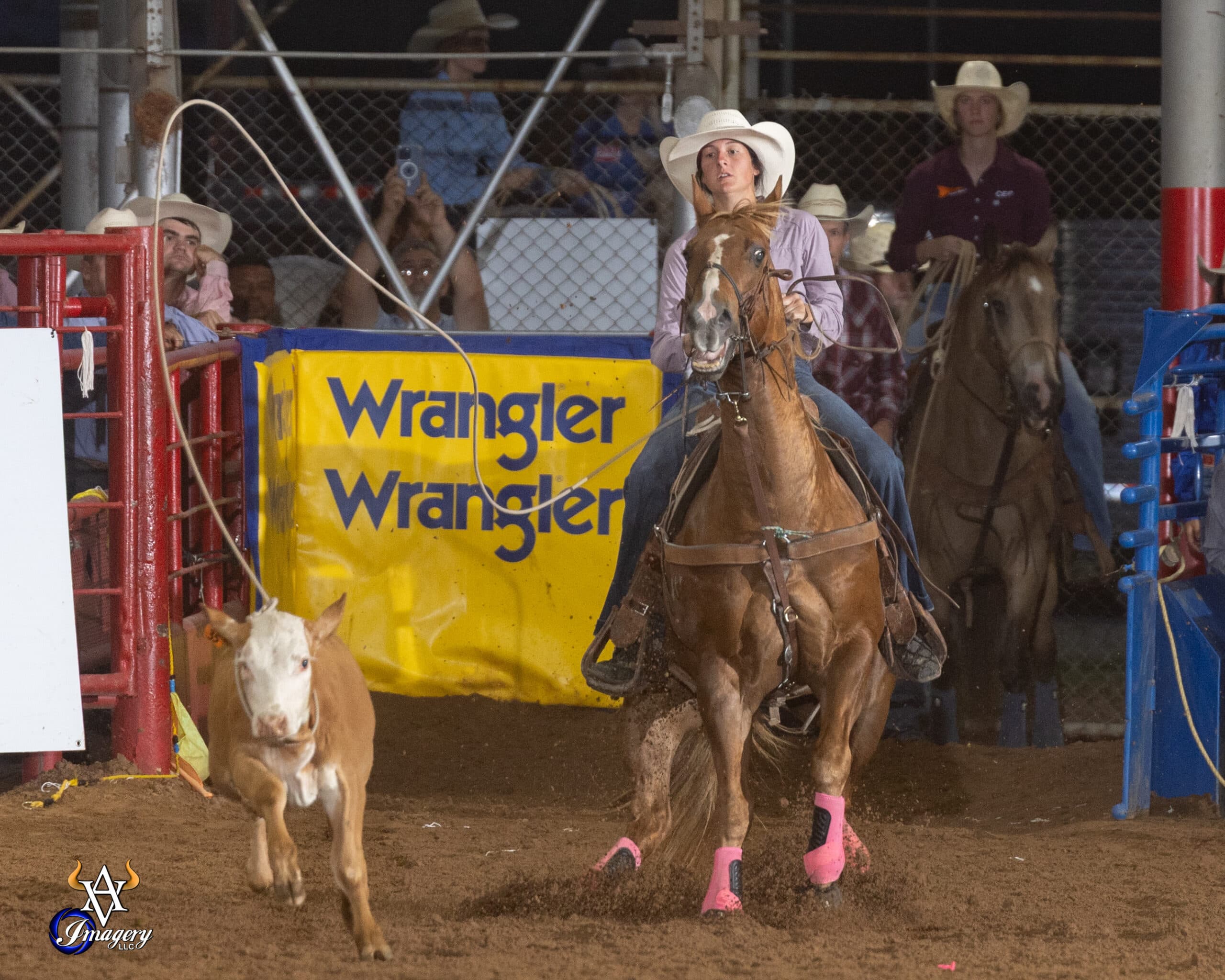 Breakaway roper on a sorrel horse in pink splint boots watches her rope fly toward a running calf at a night rodeo