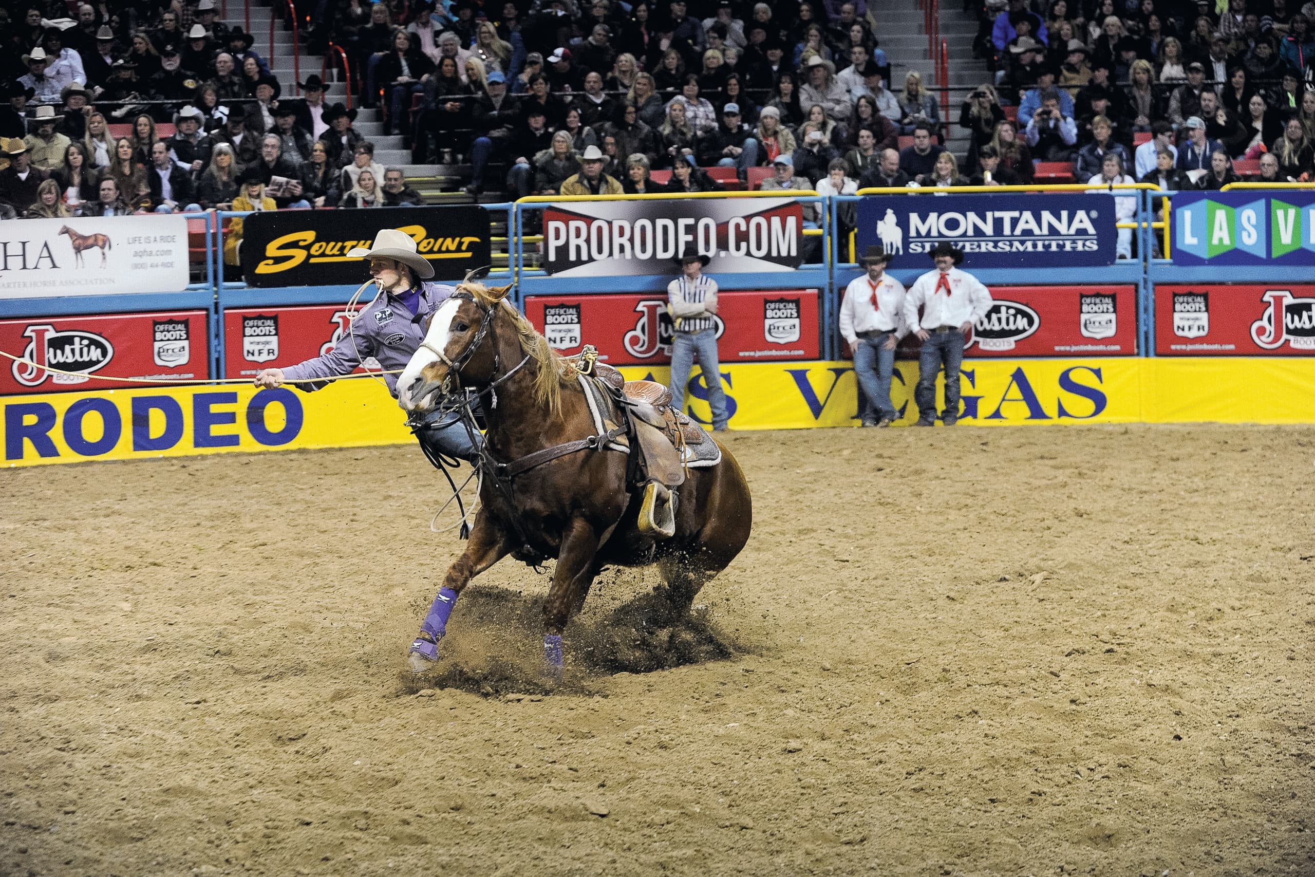 Blast from the Past: Shane Hanchey’s 2013 Tie-Down Roping World Title