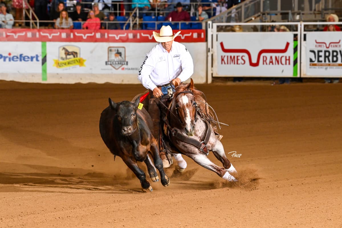 Cutting horse rider in white shirt and cowboy hat works a black calf in a dirt arena at a Kimes Ranch-sponsored event