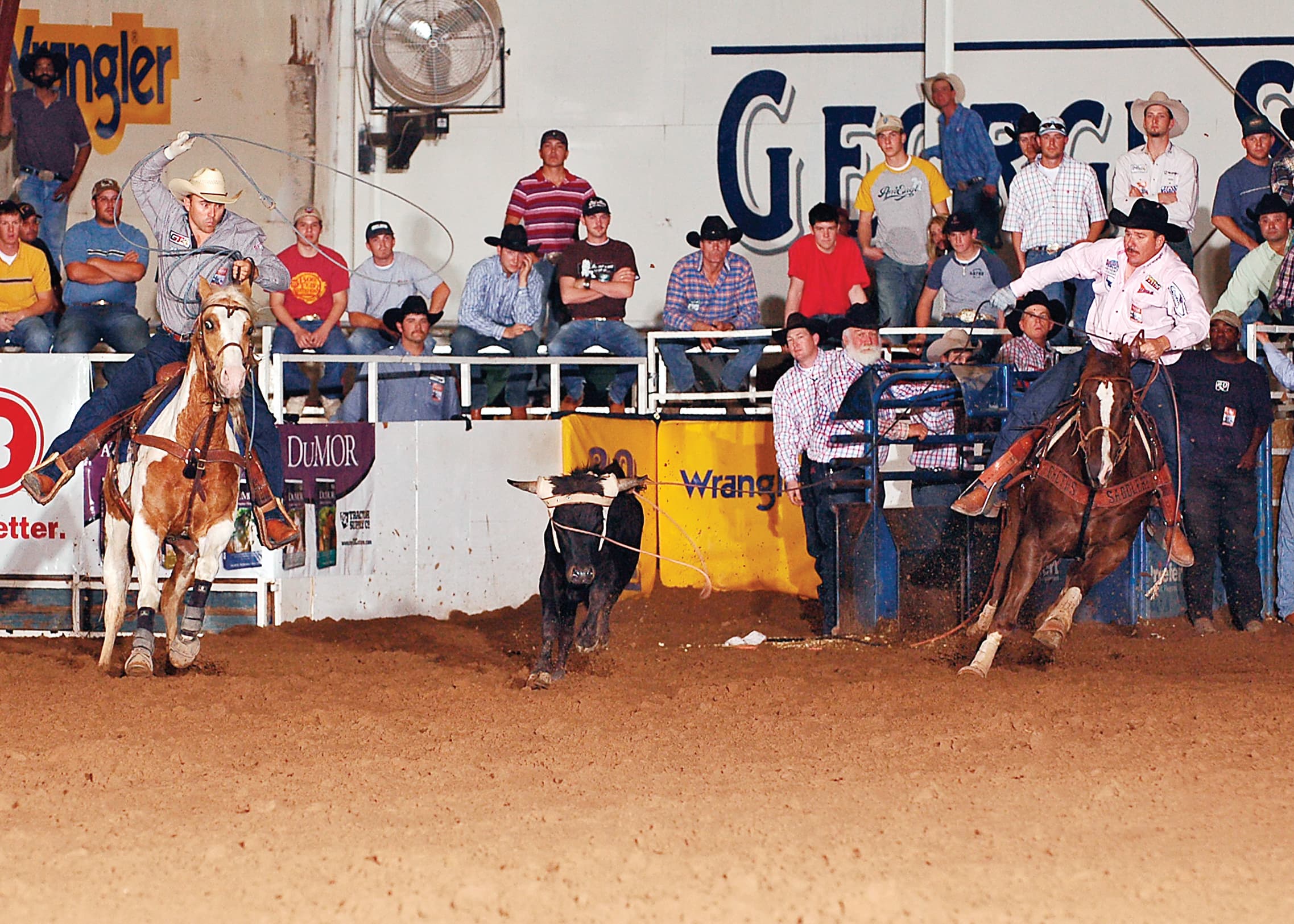 Team roping run in an indoor arena as the header swings his loop and the heeler chases behind a black steer