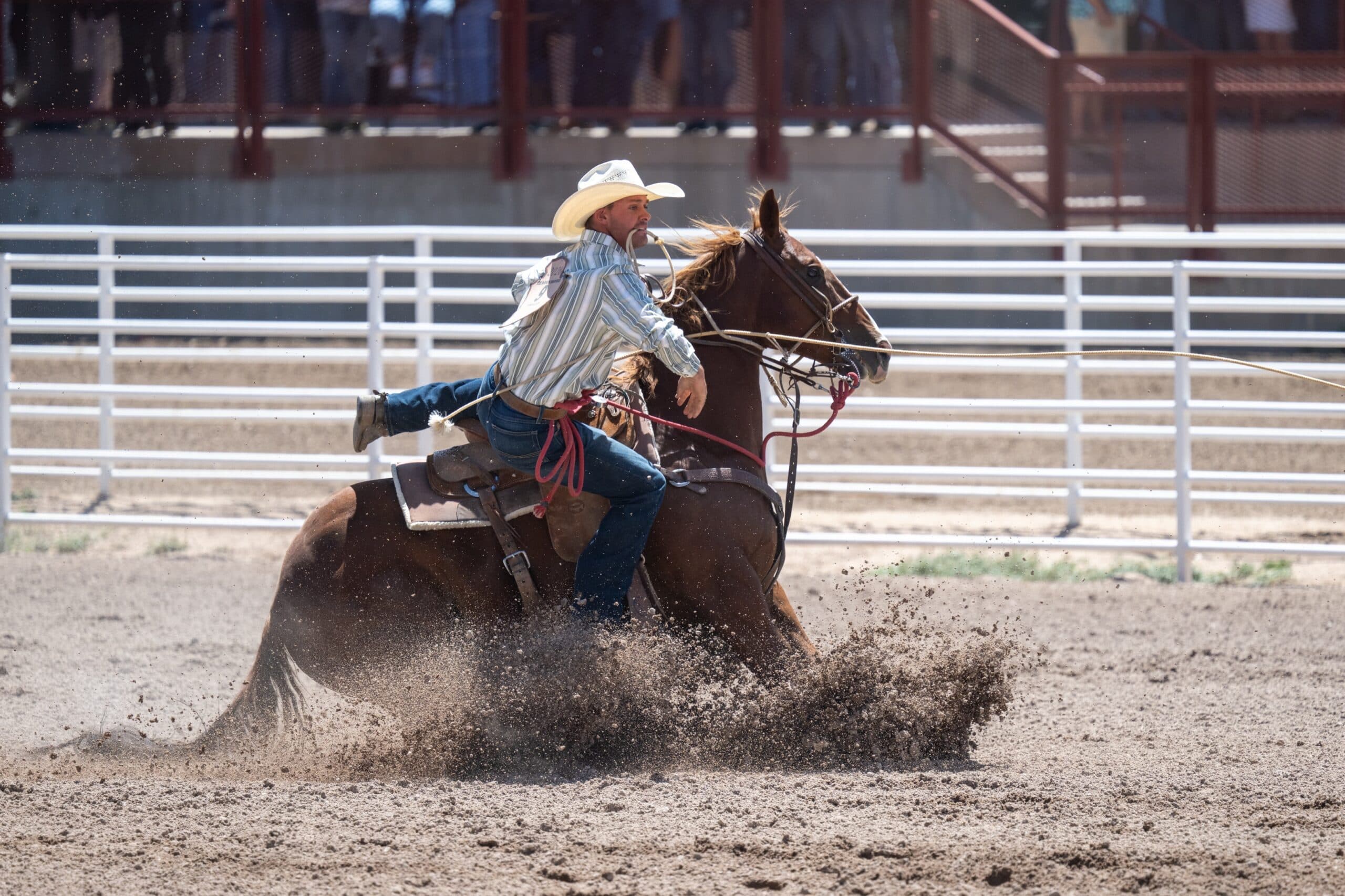 Cowboy in a straw hat and striped shirt slides his sorrel horse to a stop in a dusty arena, rope stretched taut behind