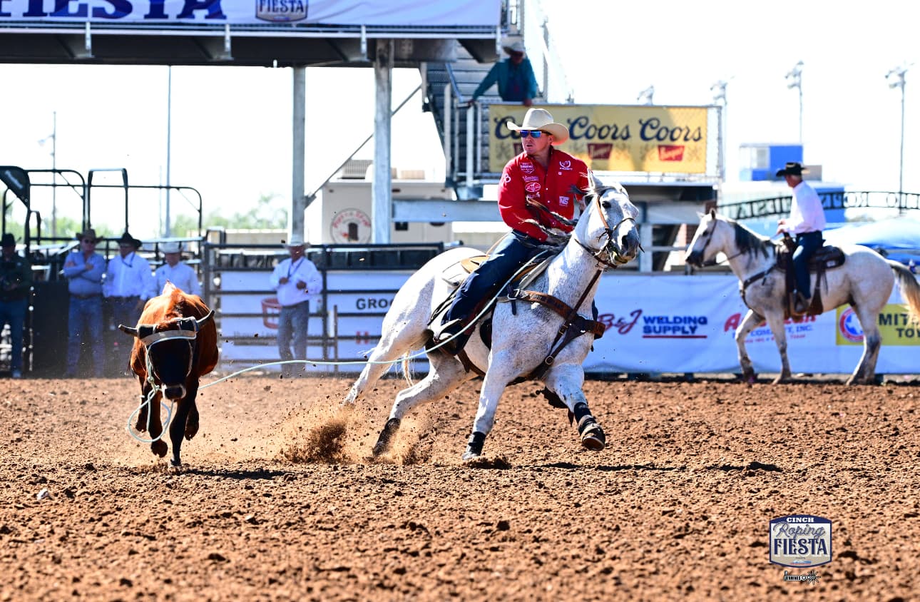 Header roper in a red shirt and white cowboy hat turns a steer on a gray horse as his rope tightens in the arena dirt