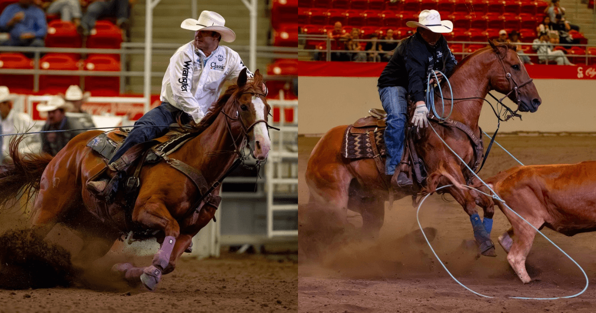korbin rice cooper freeman calgary