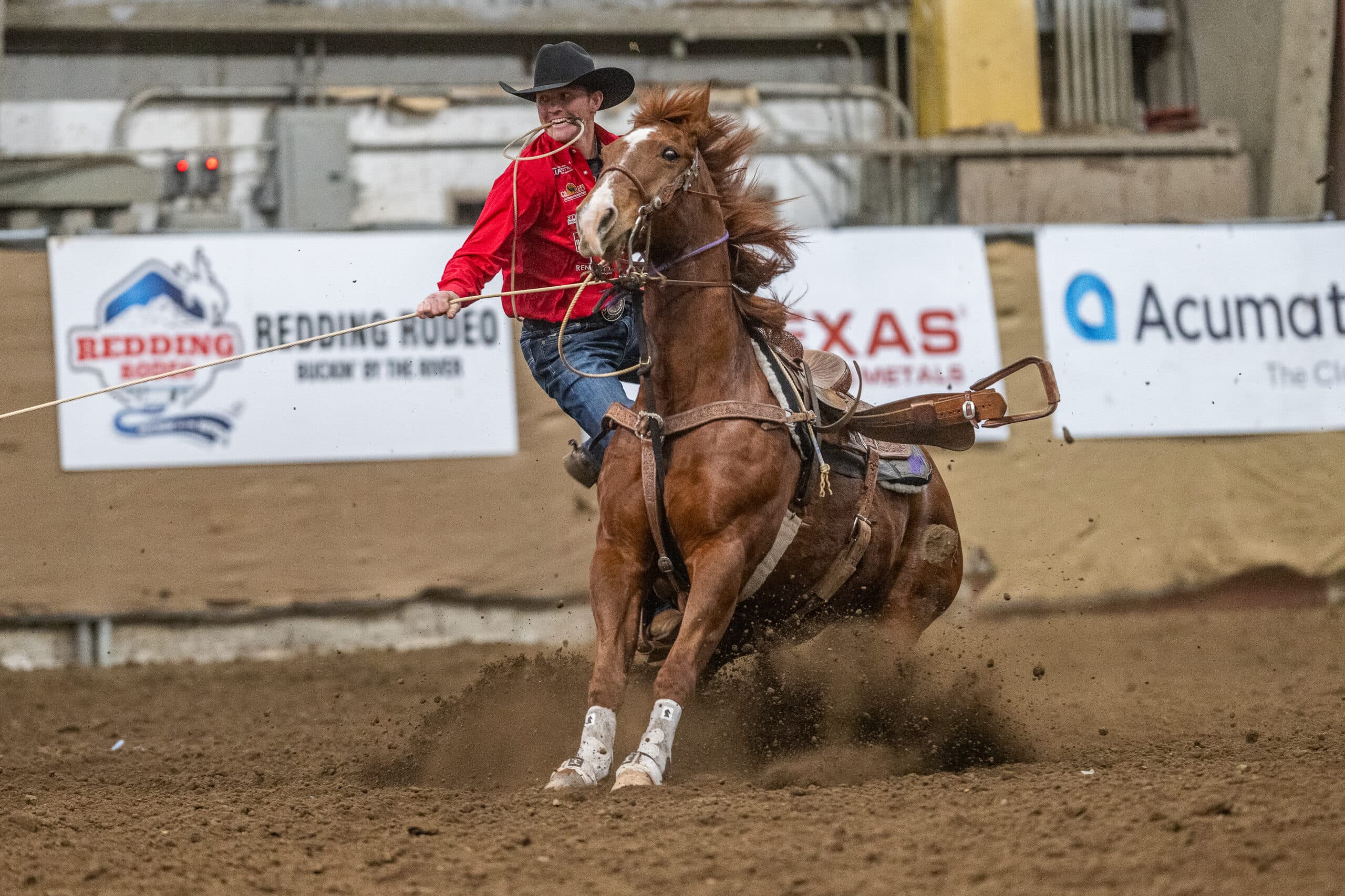 Tie-down roper in a red shirt holds his rope taut as his sorrel horse slides to a stop in the dirt at the Redding Rodeo
