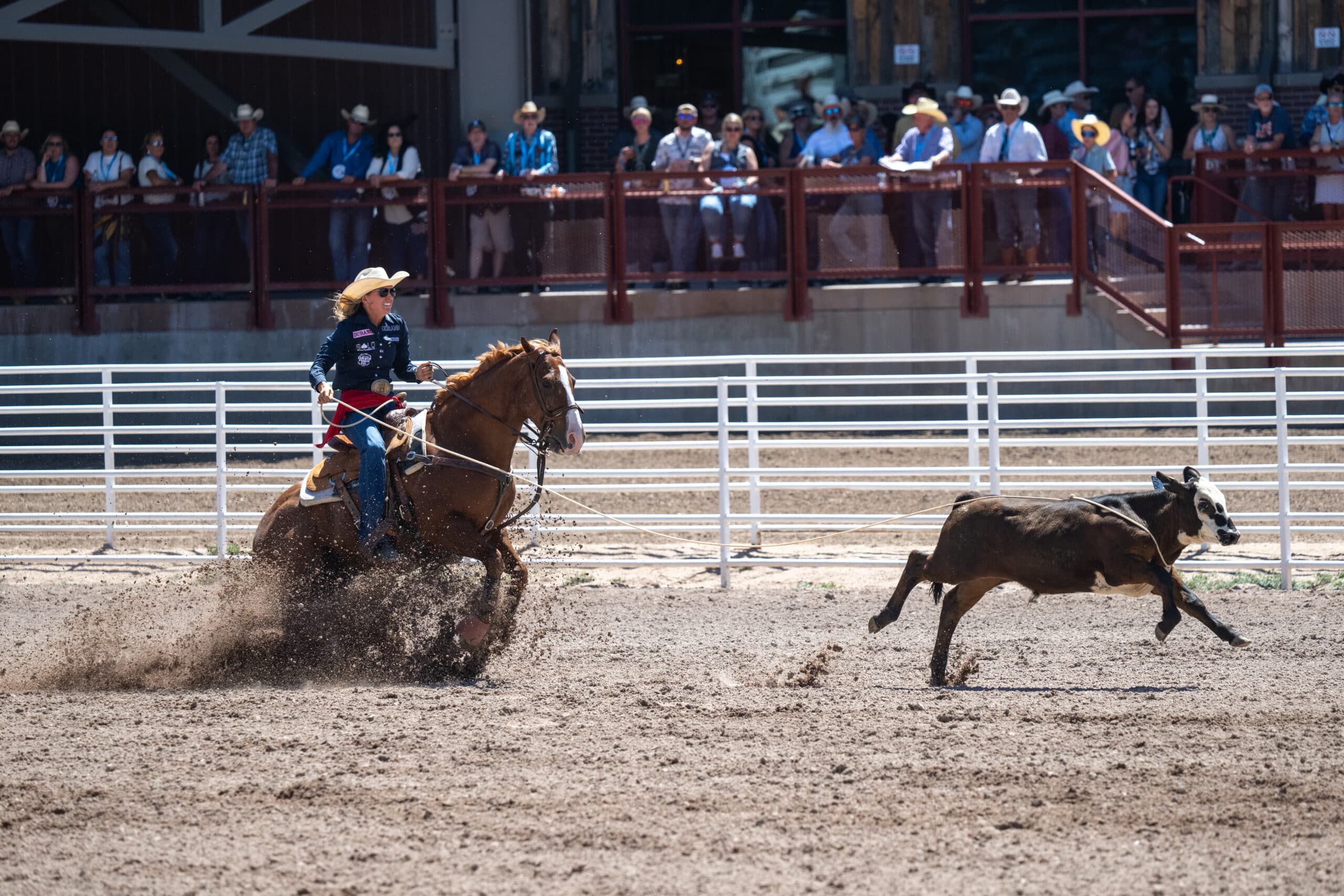 Cheyanne McCartney and horse Teddy stoping hard after roping their short round calf in 4.3 seconds to win cheyenne frontier days 2026.
