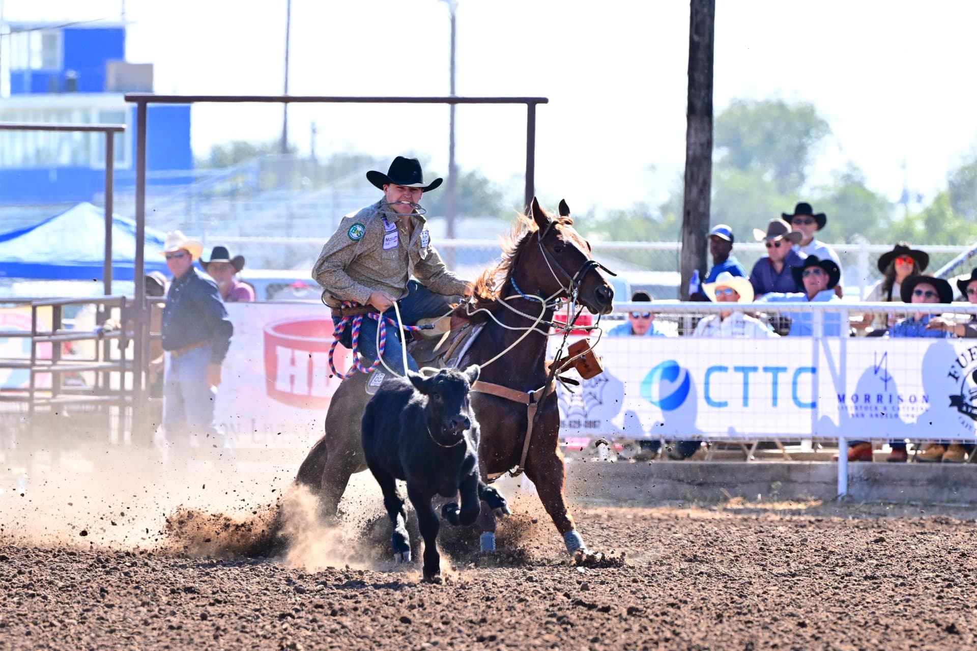 Cinch Roping Fiesta Champ Tom Crouse on The Tie-Down Breakdown