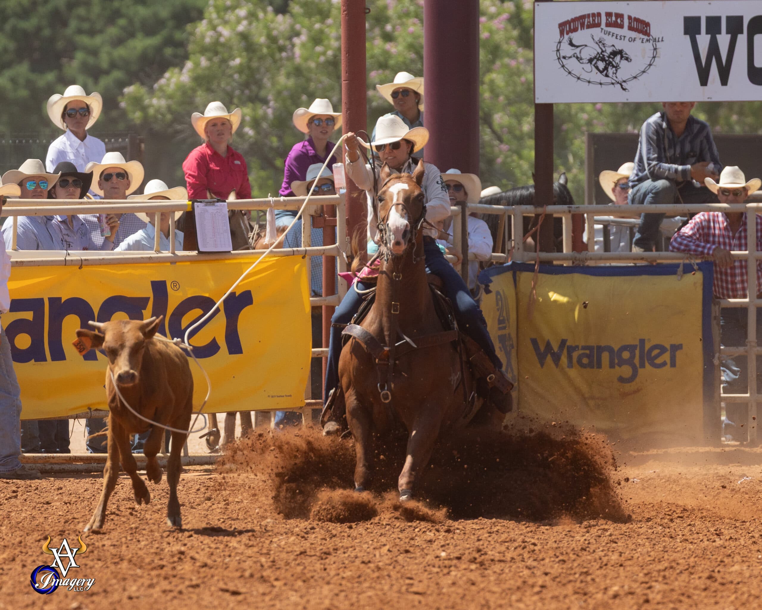 Madison Outhier Roping a calf at Woodward ProRodeo 2026