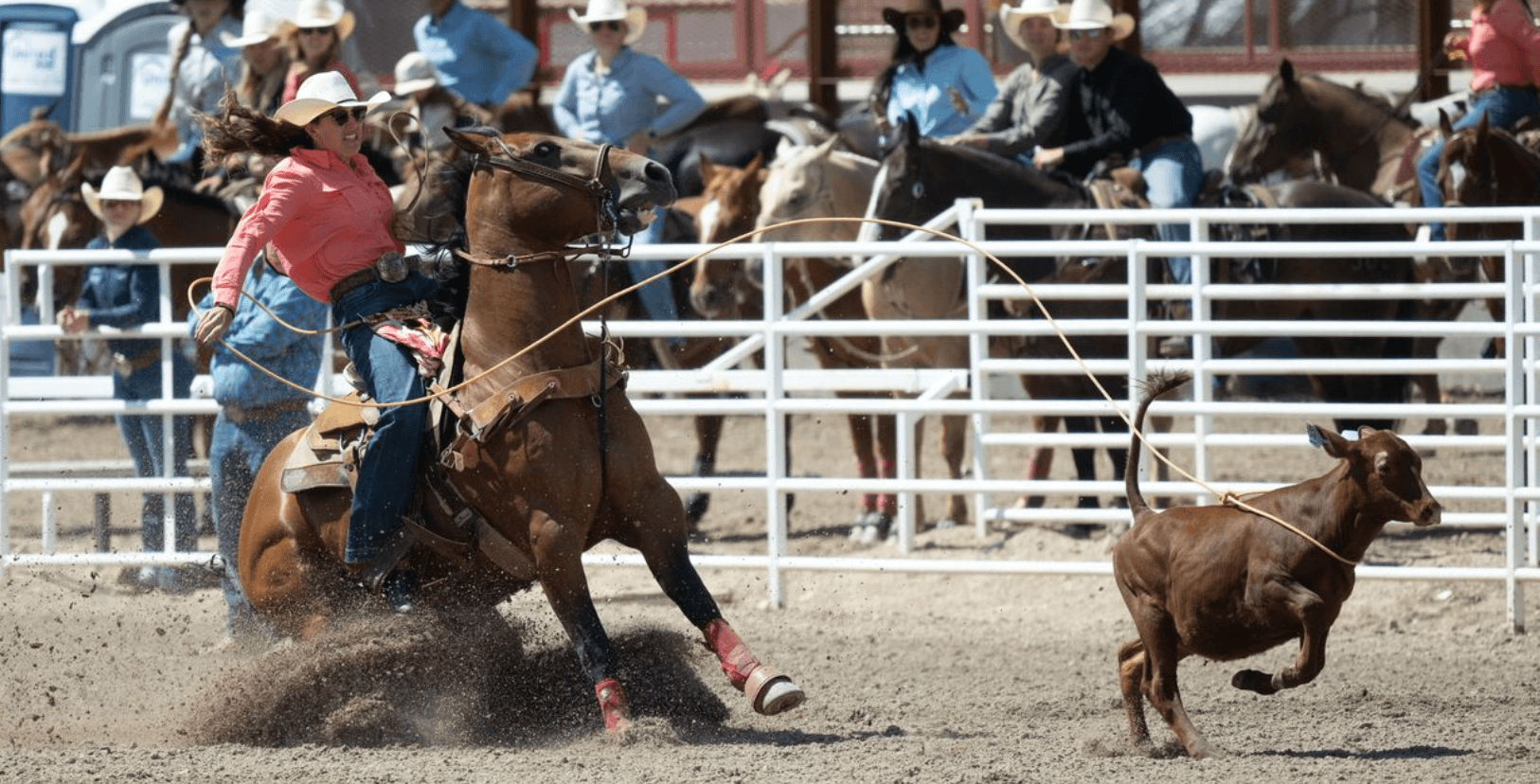 Haiden Thompson and "Tom" hit the brakes at the 2025 Cheyenne Frontier Days Slack